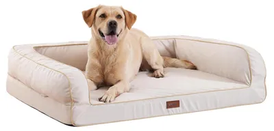 Immagine prodotto di Cuccia ortopedica per cani, realizzata in memory foam, impermeabile e lavabile, con bordo rialzato, colore beige, dimensioni L: 91x71x23 cm