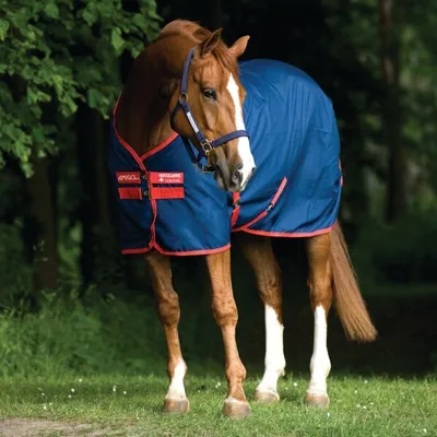Produktbild von Horseware Mio Stable Sheet 0g - Navy/Red