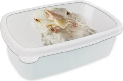 Produktbild von KitchenYeah® Lunchbox Brotzeit Brotdose 17x11 cm Huhn - Vogel - Schnabel Kinder Brotzeitdose - Lunch Box - Kinder - Sandwich-Box - Schulbox - Lunch Boxen