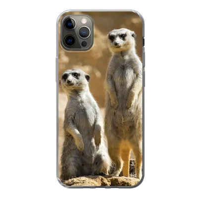 Produktbild von MuchoWow® Handyhülle Schutzhülle Hülle für iPhone 12 Pro Max Felsen - Erdmännchen - Tiere Silikon Softcase Handy Hülle - Hartschale