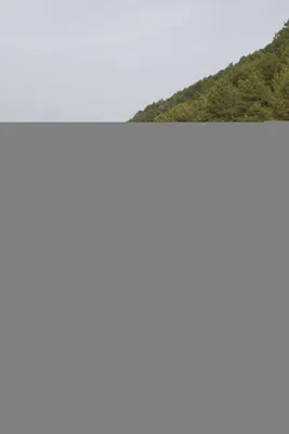 Obrázek produktu pro Kimood vodotěsná taška na kolečkách ?Blackline? ? velká