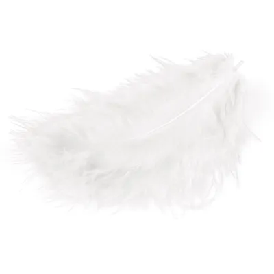 Produktbild von Meyco Marabu Federn in weiss 17 Stück circa 10 bis 12cm lang