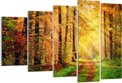 Produktbild von Bild auf Leinwand - Leinwandbild - Wald Baum Natur - 150x100cm - Wand Bild - Wanddeko - Wandbilder - Leinwanddruck - Bilder - Kunstdruck - Wanddekoration - Leinwand bilder - Wandkunst - EG150x100-3718