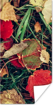 Produktbild von MuchoWow® Poster Blätter - November - Herbst - Natur 80x160 cm - Kinderzimmer