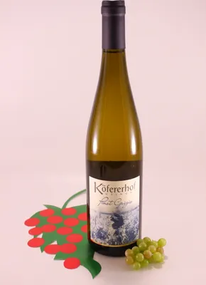 Image de Eisacktaler Pinot Grigio - 2024 - Köfererhof