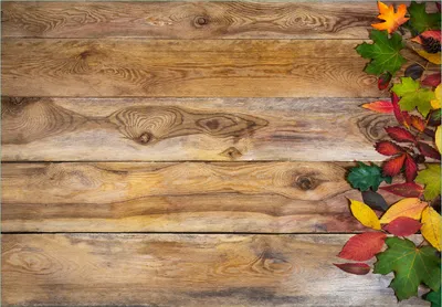 Produktbild von Wallario Fototapete Vliestapete, seidenmatte Oberfläche, einfache Verarbeitung, Größe 350 x 245 cm, Motiv Herbstlaub auf Holzbrettern