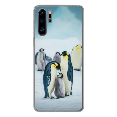 Produktbild von MuchoWow® Handyhülle Schutzhülle Hülle für Huawei P30 Pro Kaiserpinguin-Küken wird gefüttert Silikon Softcase Handy Hülle - Schutzdeckel