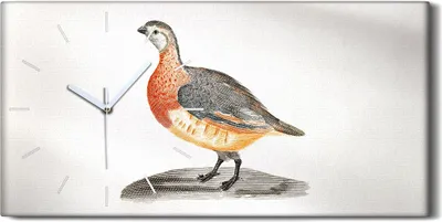 Produktbild von Leinwand Wanduhr Wandkunst Uhr Geräuschlos 60x30 Zeichnung Tier Vogel Kunst - weiße Hände