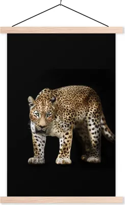 Produktbild von MuchoWow® Textilposter Leopard - Schwarz - Tiere 60x90 cm mit holzfarbenen Rahmen - Textil