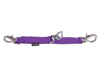 Produktbild von QHP Longierbrille / Longierbrücke, Farbe:passion