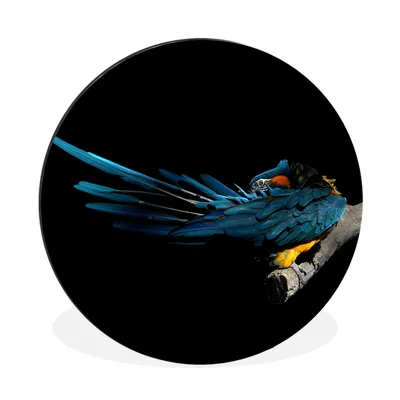 Produktbild von MuchoWow® Aluminium Wandkreis Vogel - Federn - Zweig - Schwarz Ø 30 cm Wanddeko Modern Wohnzimmer - Wand Bild - Wohnzimmer - Runde Bilder - Alubilder - Kunst für zu Hause - Aluminium - Wanddekoration