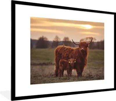 Produktbild von MuchoWow® Gerahmtes Poster Schottische Highlander - Tiere - Landschaft - Sonnenuntergang - Kuh 80x60 cm - Poster mit Schwarzem Bilderrahmen Wandposter Rahmen Foto Bilder - Schlafzimmer-Dekorationen - Fotoposter