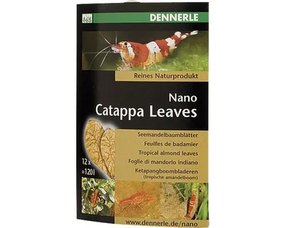 Image de Nano Catappa Feuilles (12 pièces)