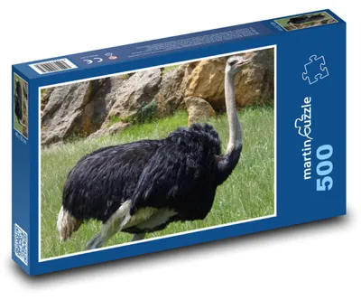 Zdjęcie produktu dla Puzzle 500 Struś na łące - martinpuzzle