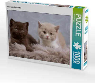 Produktbild von CALVENDO Puzzle Sind wir nicht süß? | 1000 Teile Lege-Größe 64x48cm Foto-Puzzle für glückliche Stunden