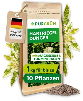 Produktbild von Purgrün Hartriegel-Dünger 1 kg