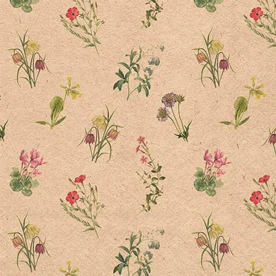 Image de Serviettes Papier Fleurs Recyclées Design Floral écologique - Ambiente