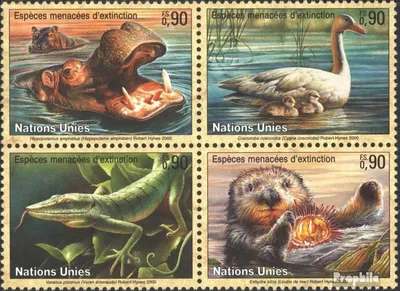 Produktbild von Briefmarken UNO - Genf 2000 Mi 385-388 Viererblock (kompl.Ausg.) gestempelt Gefährdete Tiere