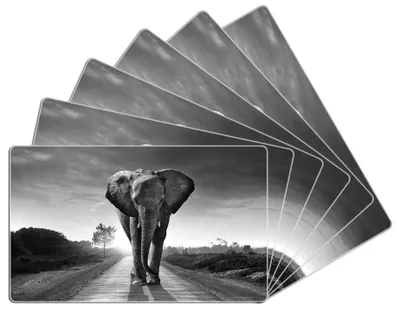 Produktbild von Wallario Frühstücksbrettchen 6er Set aus Glas, je 14 x 23 cm, mit rutschfesten Füßen, Motiv Elefant bei Sonnenaufgang in Afrika schwarzweiß