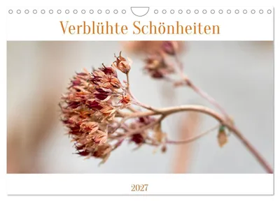 Produktbild von Verblühte Schönheiten (Wandkalender 2027 DIN A4 quer), CALVENDO Monatskalender