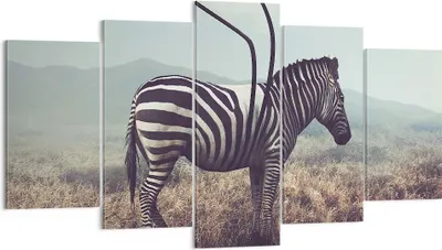 Produktbild von Bild auf Leinwand - Leinwandbild - Zebra Tier Wiese - 160x85cm - Wand Bild - Wanddeko - Wandbilder - Leinwanddruck - Bilder - Kunstdruck - Wanddekoration - Leinwand bilder - Wandkunst - EA160x85-3959