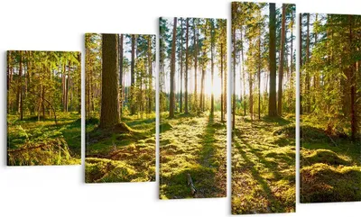 Produktbild von Bild auf Leinwand - Leinwandbild - Wald Baum Natur - 100x60cm - Wand Bild - Wanddeko - Wandbilder - Leinwanddruck - Bilder - Kunstdruck - Wanddekoration - Leinwand bilder - Wandkunst - EG100x60-3724