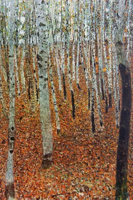 Produktbild von Gustav Klimt Kunstdruck Bild - Birkenwald, 1903 (120 x 80 cm)