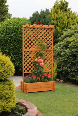 Produktbild von Rankpflanzkasten 102x46x204 cm - inkl. Rankgitter + Pergola Kiefer honigbraun