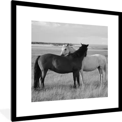 Produktbild von MuchoWow® Gerahmtes Poster Pferde - Tiere - Porträt - Schwarz-Weiß - Landleben 40x40 cm - Poster mit Schwarzem Bilderrahmen Wandposter Rahmen Foto Bilder - Poster - Plakat im Rahmen