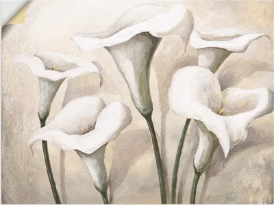 Produktbild von ARTland Wandbild, selbstklebend Callas I Größe: 80x60 cm