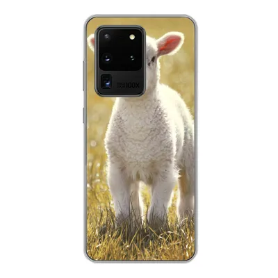 Produktbild von MuchoWow® Handyhülle Schutzhülle Hülle für Samsung Galaxy S20 Ultra Lamm - Gras - Sonne Silikon Softcase Handy Hülle - Karteninhaber