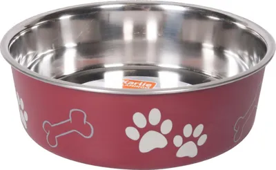 Image de Ecuelle en inox Karlie Ascar 23 cm 2200 ml rouge foncé