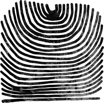 Obrázok produktu pre Rival Consoles: Howl (Limited Edition) (Clear Vinyl) (RSD 2025)