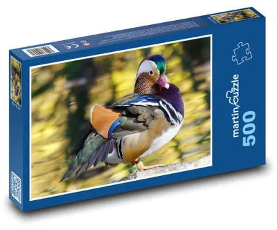 Produktbild von Puzzle 500 Bunter Mandarinentenente - martinpuzzle