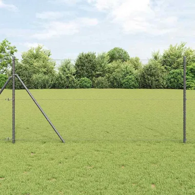 Immagine prodotto di Maison Exclusive - Recinzione in rete metallica, 1,2 x 100 m, PVC grigio