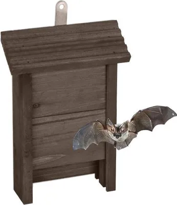 Image de Boîte à chauves-souris en bois marron