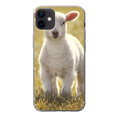 Produktbild von MuchoWow® Handyhülle Schutzhülle Hülle für iPhone 12 mini Schafe - Gras - Sonne Silikon Softcase Handy Hülle - Bild