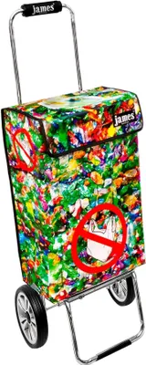 Obrázek produktu pro Nákupní vozík James - PLASTIKMUELL - robustní nákupní vozík s individuálním designem - jednobarevný: zelený v provedení: Chrome19