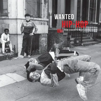 Obrázok produktu pre Various Artists - Wanted Hip-Hop (LP)