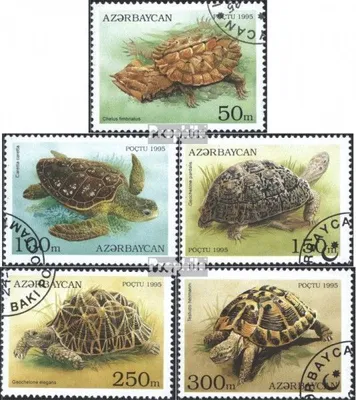 Produktbild von Briefmarken Aserbaidschan 1995 Mi 223-227 (kompl.Ausg.) gestempelt Schildkröten