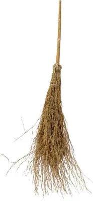 Produktbild von Kentucky Bambusbesen Golden Golden One Size
