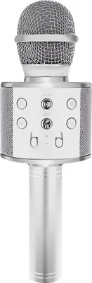 Obrázek produktu pro Izoxis 22188 Karaoke mikrofon - stříbrný