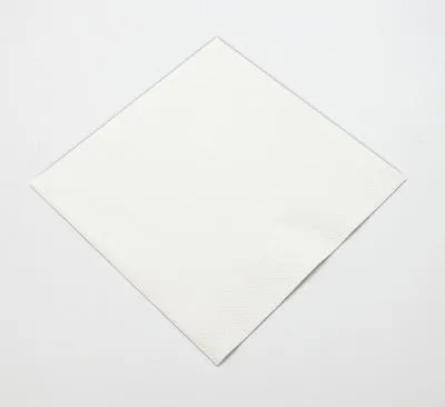 Immagine prodotto di Tovagliolo Duni | Carta a 2 strati | 24x24cm | Bianco | 2400 pezzi