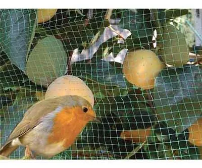 Immagine prodotto di RETE ANTIUCCELLI CARDINALE 4x10 mt - colore verde