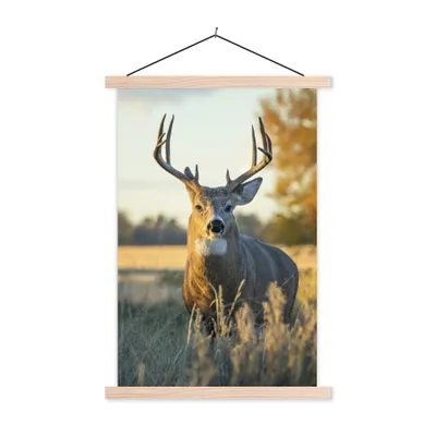 Produktbild von MuchoWow® Textilposter Hirsche - Gras - Herbst - Geweih - Natur - Tiere 40x60 cm mit holzfarbenen Rahmen - Poster