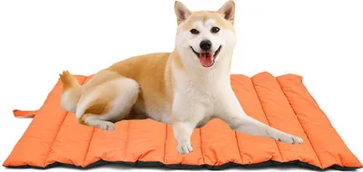 Produktbild von Wasserdichte Hundematte für Outdoor Waschbares Hundebett Reisedecke