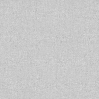 Produktbild von Strukturtapete 10108-29 Vliestapete Uni Einfarbig 0.53 x 10.05 m Erismann Spotlight Silber