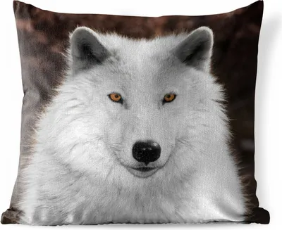 Produktbild von MuchoWow® Outdoor Kissen - Wolf - Weiß - Porträt - 45x45 cm - Wetterfest - Lounge Kissen - Fotokissen - Dekoratives Kissen