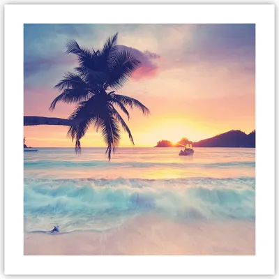 Produktbild von Poster - Poster ohne Rahmen - Meer Strand Palme - 50x50 cm - Wand Bild - Wanddeko - Wandbilder - Kunstposter - Wandposter - Bilder - Kunstdruck - Wanddekoration - Wandbild - P2XAC50x50-3992