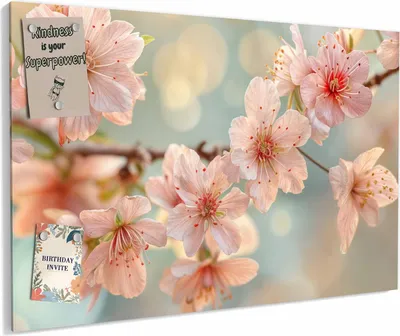 Produktbild von Magnettafel 60 x 40 cm „Kirschzweig in Blüte“ – Magnetwand aus Metall, beschreibbar mit Whiteboard-Marker – Memoboard für Küche & Büro
